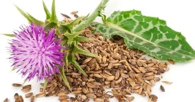 تصویر 1 از عرق خار مریم افشار با فرآوری سنتی و طبیعی